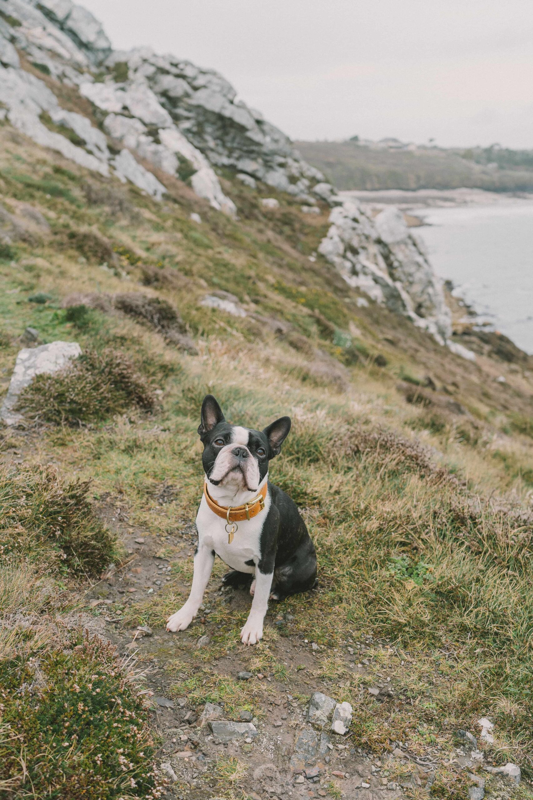 Anne-Gaelle et Antoine-51
